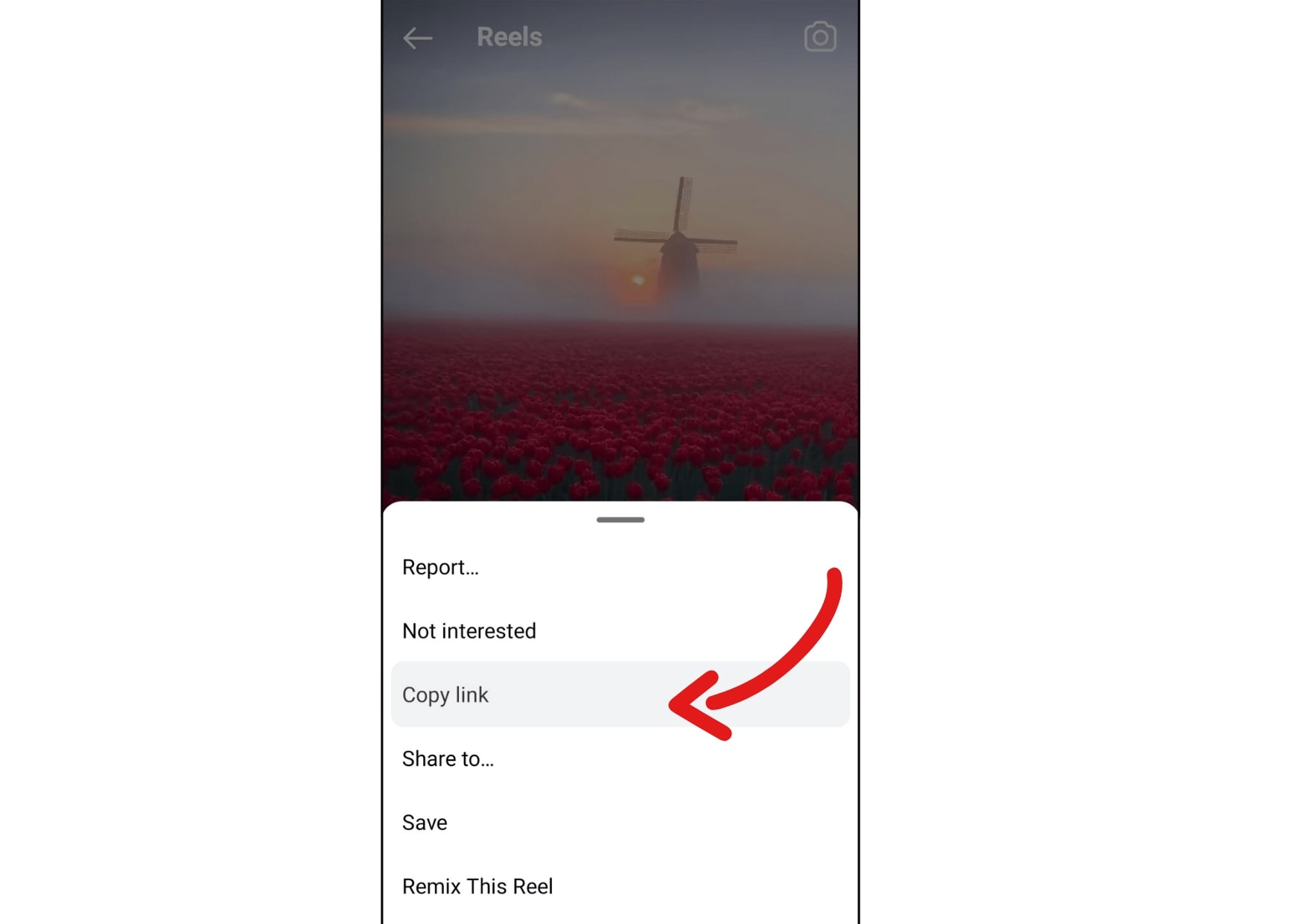 copy link from Instagram reels video