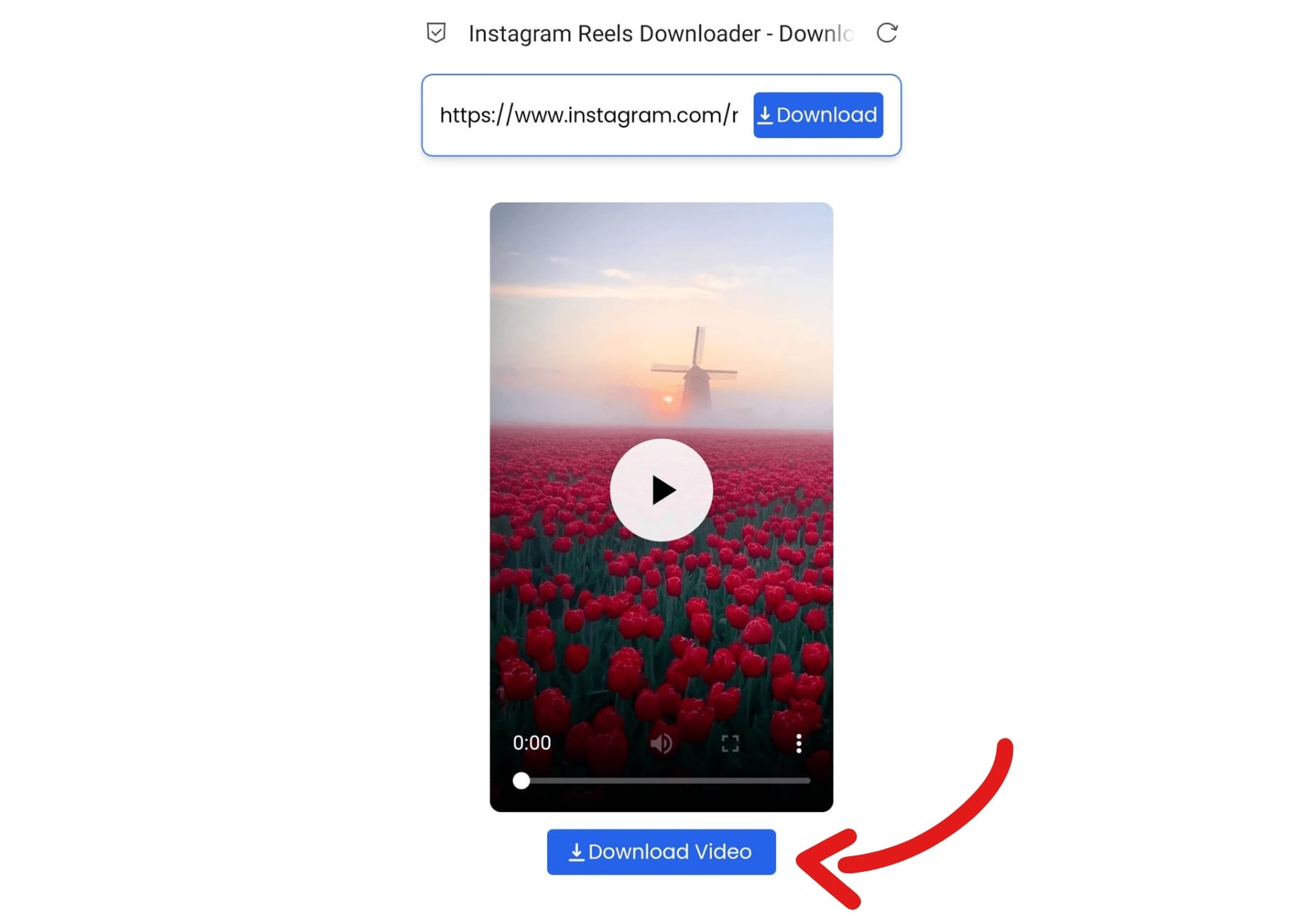 Instagram reels download